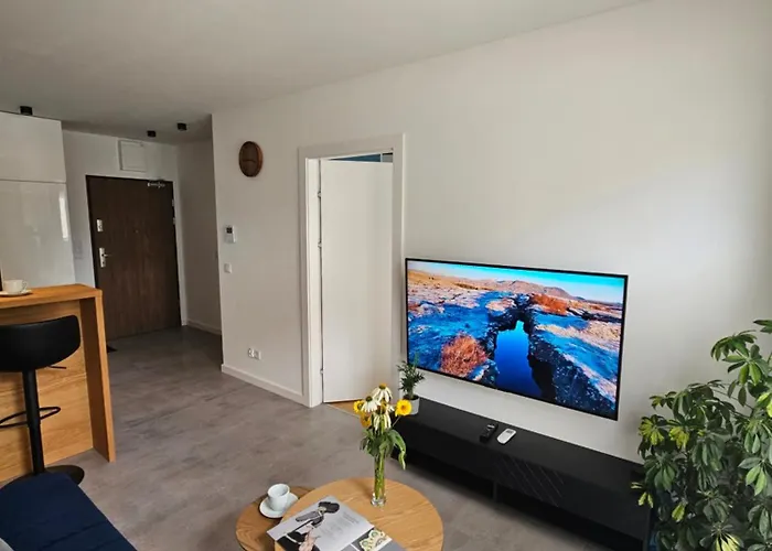 Apartament Centralna Park